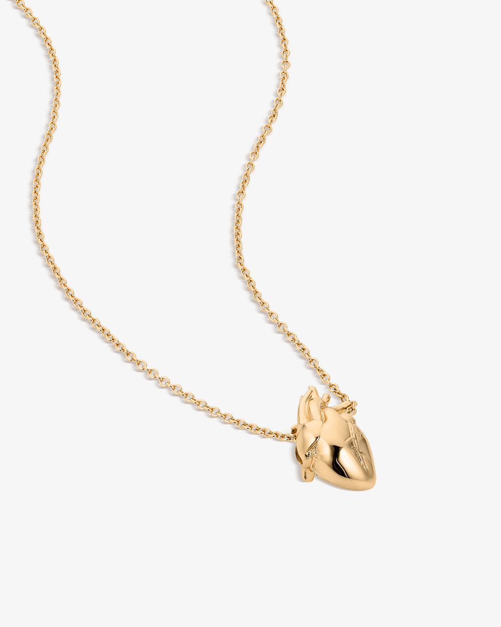 Jumbo Anatomical Heart Necklace